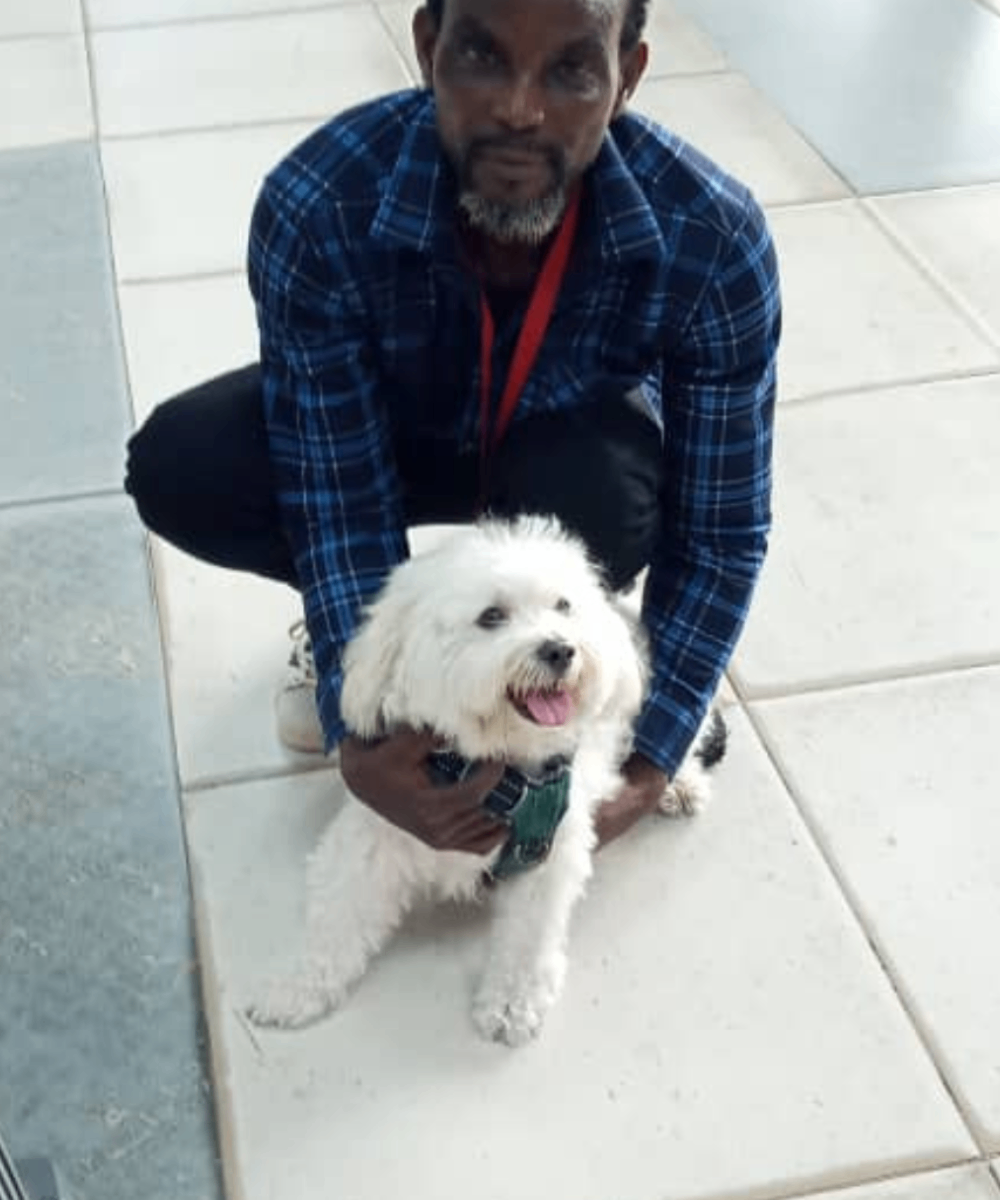 A Wastol Express staff member in a blue plaid shirt safely holding a happy white small-breed dog during a relocation process.