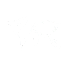 A minimalist world map outline representing global pet relocation and international animal transport services by Wastol Express Limited.
