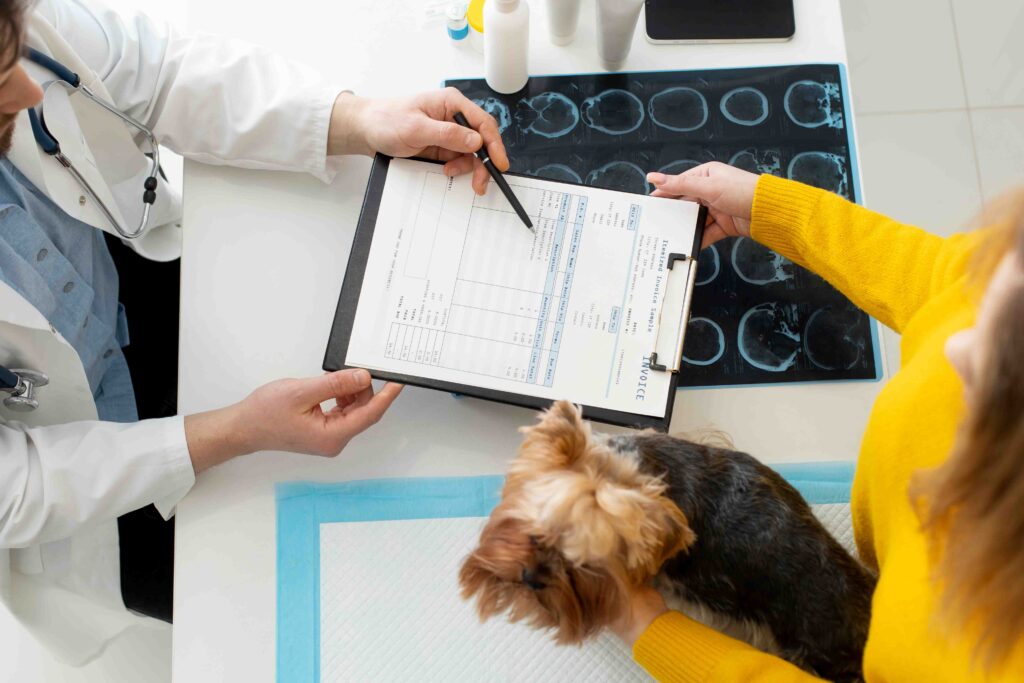 A veterinarian reviewing an invoice and medical records with a pet owner and a small dog during a travel consultation.