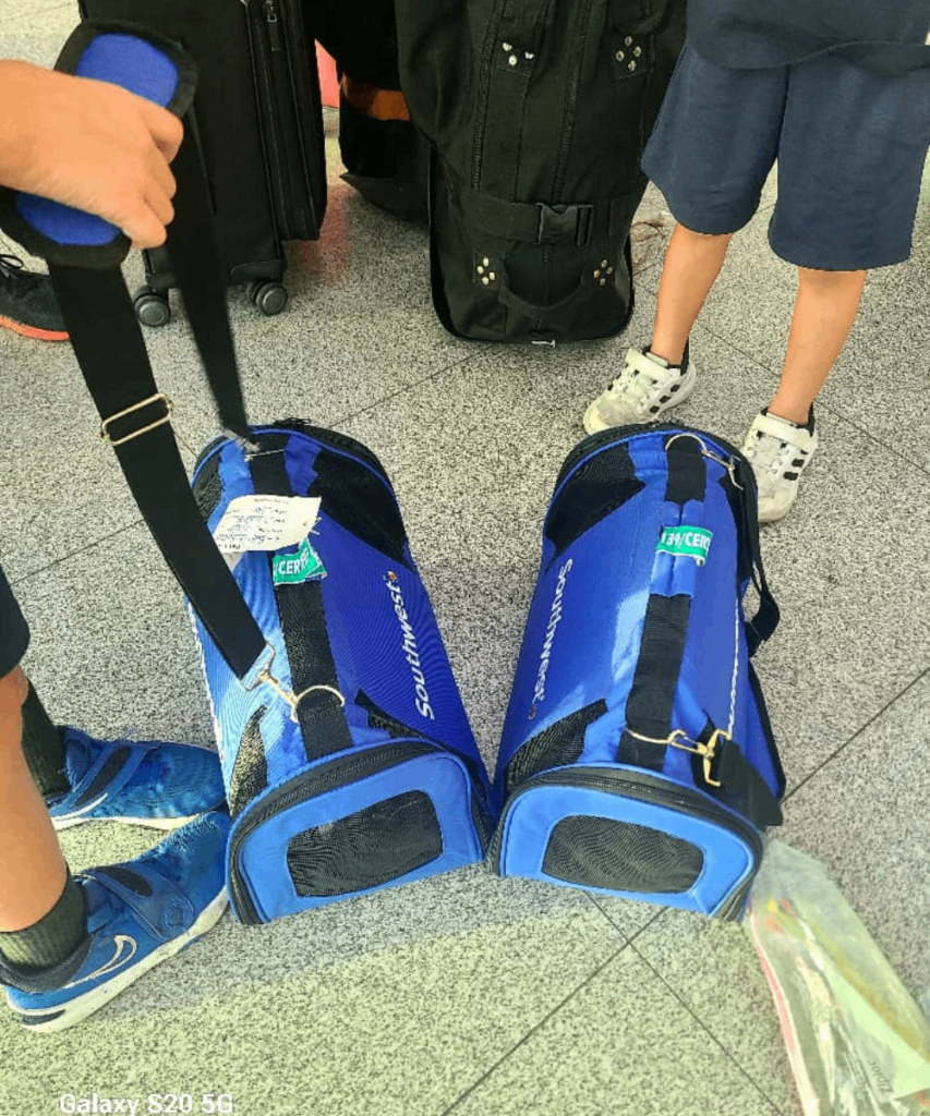A fluffy grey and white Persian cat resting inside a specialized travel kennel with a water dispenser.