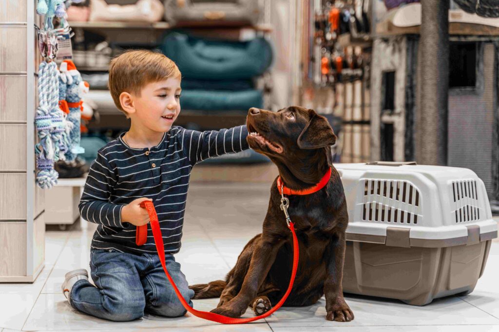 A young boy petting a brown Labrador retriever next to a secure pet travel carrier in a shop setting.